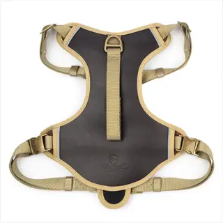 adjustable dog front clip harness with brown padded center, tan webbing, side-release buckles, and coastal pet brand logo