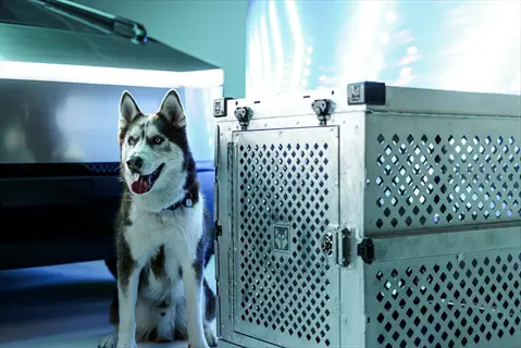 anxious dog crate (metal crate for regression management) beside a siberian husky in futuristic studio with blue lighting and tech vehicle backdrop