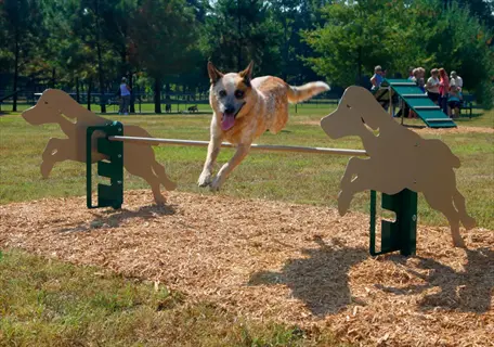 australian cattle dog mid-jump over dog-shaped agility hurdle during dog training distraction kit session