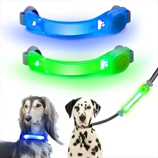 blue and green led dog leash safety lights attached to collars and leash handle with saluki and dalmatian dogs