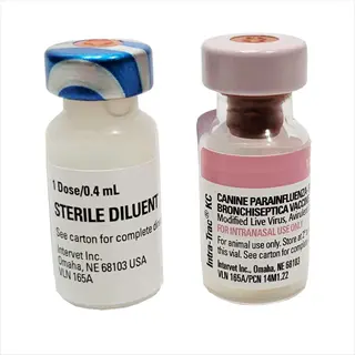 canine kennel cough vaccine vials: intra-trac kc (bordetella bronchiseptica) and sterile diluent for intranasal use