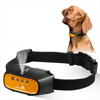 citronella spray collar: pro pet command anti-bark device spraying with brown vizsla dog wearing it - humane training tool with adjustable l/m/h modes