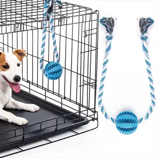 dog crate enrichment toys: jack russell terrier in wire crate with two rope-toy balls (one hanging, one inside), demonstrating crate-based interactive play setups