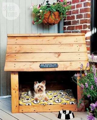 dog crate toys integration: environmental enrichment setup with yorkshire terrier in wooden doghouse featuring safety sign, patterned bed and outdoor plants