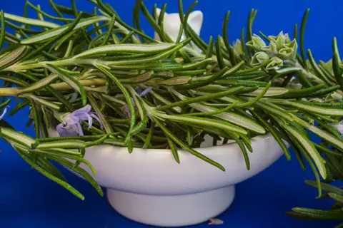 fresh rosemary sprigs with purple flowers arranged in a white ceramic bowl against a solid blue background