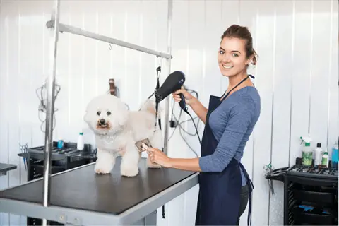 groomer blow-drying a white fluffy dog on a professional salon table, demonstrating dog grooming techniques in a well-equipped pet spa environment