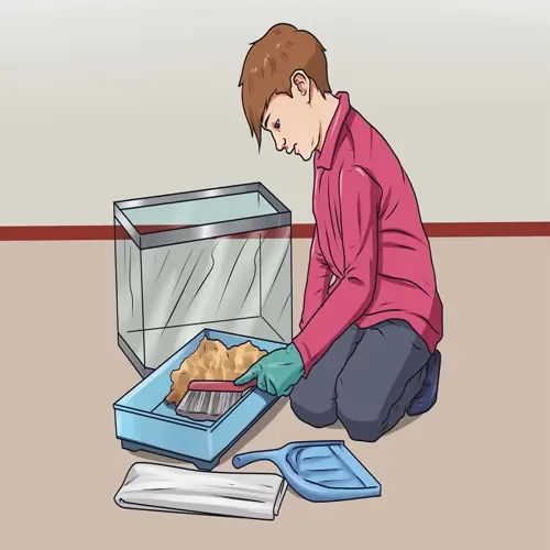 hamster cage cleaning: person using brush and dustpan to remove soiled bedding during cage maintenance routine