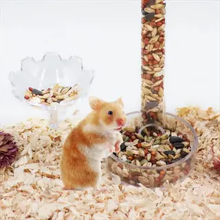 hamster gravity feeder: clear vertical tube filled with mixed seeds, golden hamster standing nearby on wood shavings bedding with small seed dish - gravity feeders context