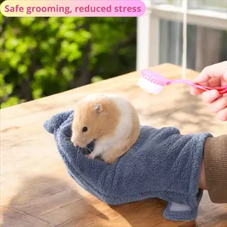hamster grooming tools: syrian hamster being gently groomed with soft blue glove and pink brush - 'safe grooming, reduced stress' text visible (mat prevention context)