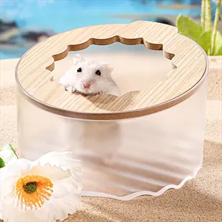 hamster sand bath: white hamster in clear container with sand, wooden lid, and poppy flower - bathing alternatives context