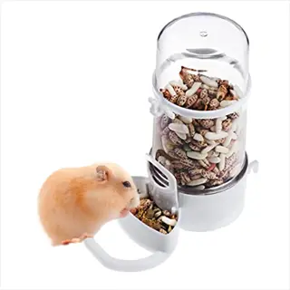 hanging hamster food dish: light brown hamster eating from a clear gravity feeder filled with mixed seeds and nuts - hanging feeders context