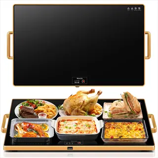 heated dishes: electric warming tray with control panel text, displaying roasted chicken, steak, fries, lasagna, sandwich, and casserole - heated dishes context