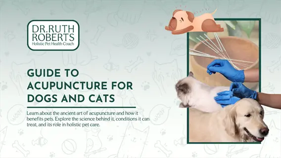 infographic: acupuncture for cats and dogs by dr. ruth roberts featuring cat with acupuncture treatment
