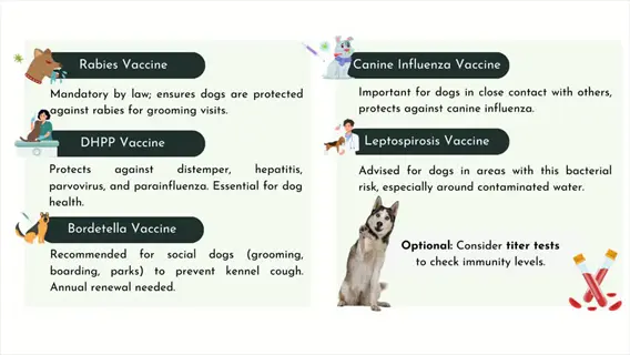 infographic comparing core dog vaccines: rabies, dhpp, bordetella, canine influenza vaccine (for social dogs), leptospirosis, with optional titer test note