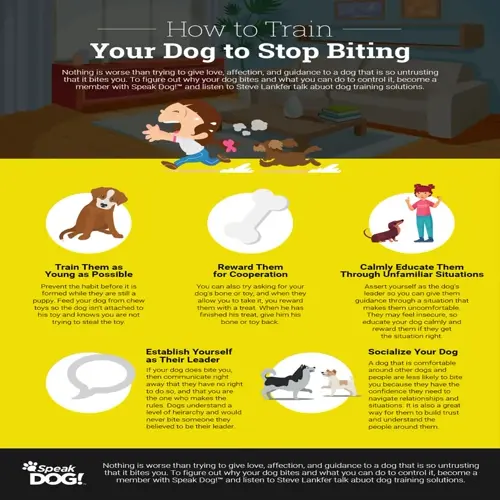 infographic explaining puppy bite inhibition training techniques with cartoon illustrations and text sections