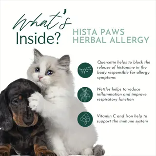 infographic: hista paws herbal allergy supplement for pets - cat and dog with herbal medicine ingredients (quercetin, nettles, vitamin c) supporting allergy relief