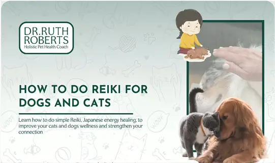 infographic: how to do reiki for dogs and cats by dr. ruth roberts - reiki cat therapy guidance with illustrations of energy healing