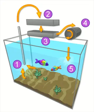 infographic of an activated carbon aquarium filtration system showing water flow (orange arrows) through 5 stages with fish, plants, and numbered components (1-5)