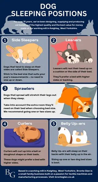 infographic on dog sleeping positions (side, leaner, sprawler, curler, belly up) with text descriptions. no measurement documentation shown