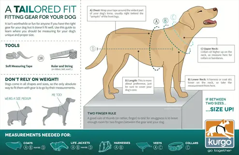 kurgo dog gear fitting infographic showing chest measurement (a: behind front legs) with labeled points (a-d), sizing tips, and product categories