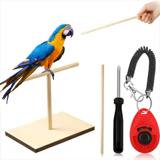 macaw parrot on t-stand demonstrating bird high perch training with hand holding target stick, training clicker, and assembly tools against white background