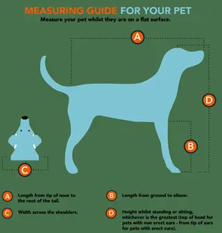 measuring guide infographic: dog body length measurement (labeled a: nose to tail root) with other points (b: elbow height, c: shoulder width, d: height) on blue silhouette