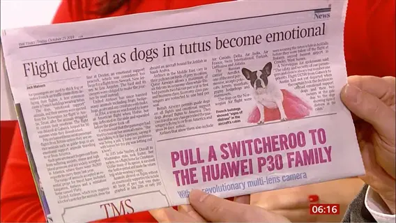 newspaper article about 'delayed flight pets' (emotional support dogs) with photo of dog in pink tutu (concept depicted via text)