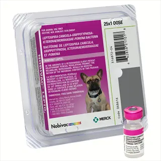 nobivac lepto leptospirosis vaccine dog vial and 25-dose packaging with french bulldog image (merck animal health)