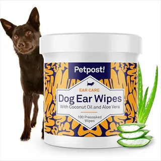 petpost! dog ear wipes container (cotton pads for dogs) with coconut oil & aloe vera, 100 presoaked wipes, shown with brown dog and aloe leaves