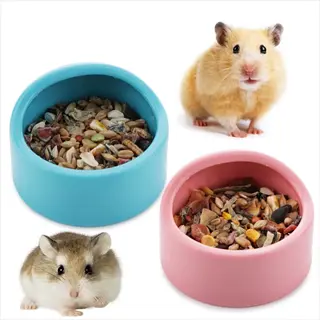 plastic hamster food dish: two dishes (blue and pink) filled with food, with light brown and grayish hamsters nearby - plastic containers context