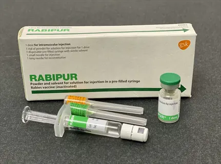 rabipur rabies vaccine kit with vial, pre-filled syringes, and packaging on gray surface