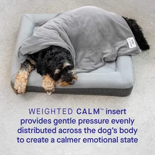 relaxed dog resting under a dog weighted blanket insert designed to provide gentle pressure for anxiety relief and calm