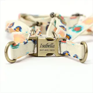 small dog step-in harness with colorful floral pattern, metal engraved buckle showing 'isabella 647-635-0832', and multiple attachment rings