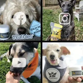 social media grid: four dogs showcasing treatibles pet products (topical cream, chews) with facebook/instagram/youtube/twitter overlays - visual of pet supplies sharing