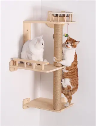 two cats interacting with a multi-level cat tree feeding station: white cat resting on platform, orange cat climbing sisal scratching post, with feeding bowl on top platform