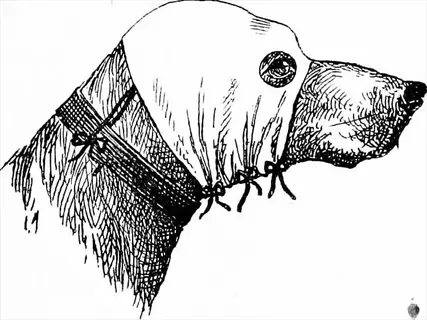 vintage-style dog head covering for ear protection (non-liquid dog ear drying solution) in veterinary care