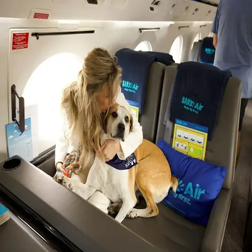 woman embracing dog wearing bandana in bark air airplane cabin with branded seats and window view